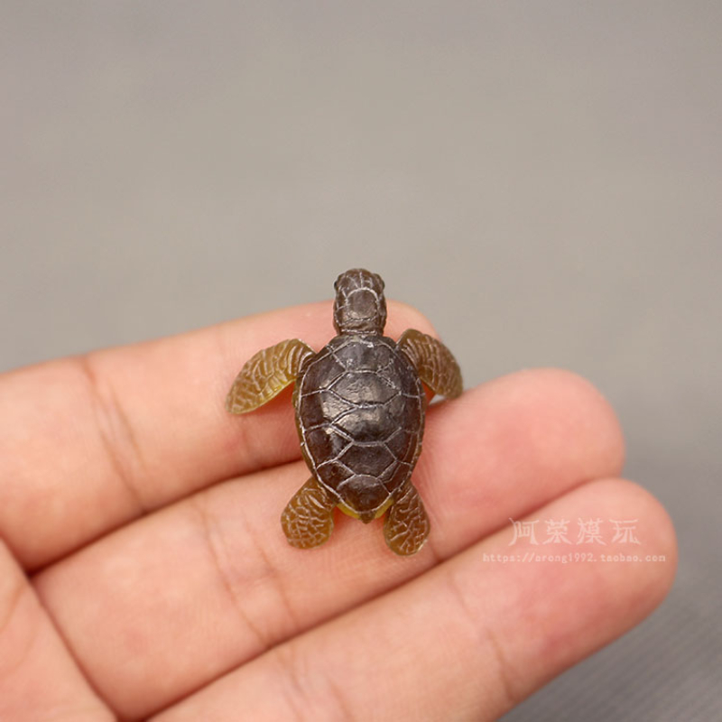 Marine Aquarium Japan - Życie morskie żółwiem morskim ozdoby modelowe