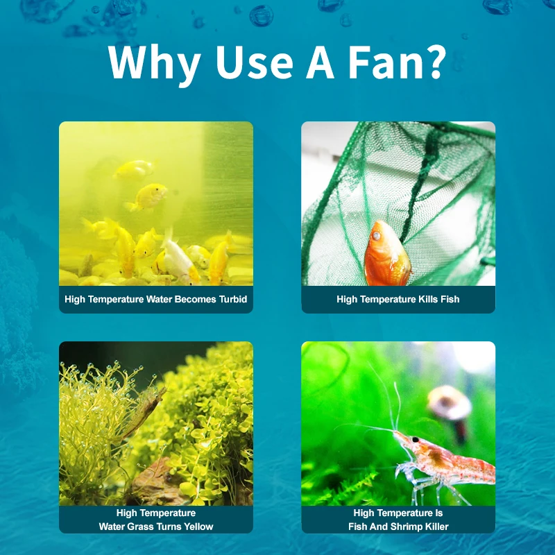 Jebao Jecod ACF Series Wentyla – Marine Aquarium Uk recenzja i cena