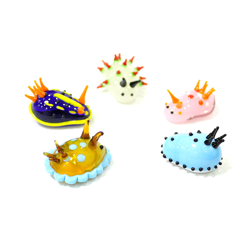 Rzadkie Śliczne Mini Morskie M – Marine Aquarium Japan recenzja i cena