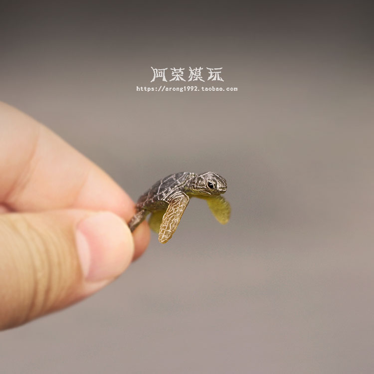 Życie morskie żółwiem morskim  – Marine Aquarium Japan recenzja i cena